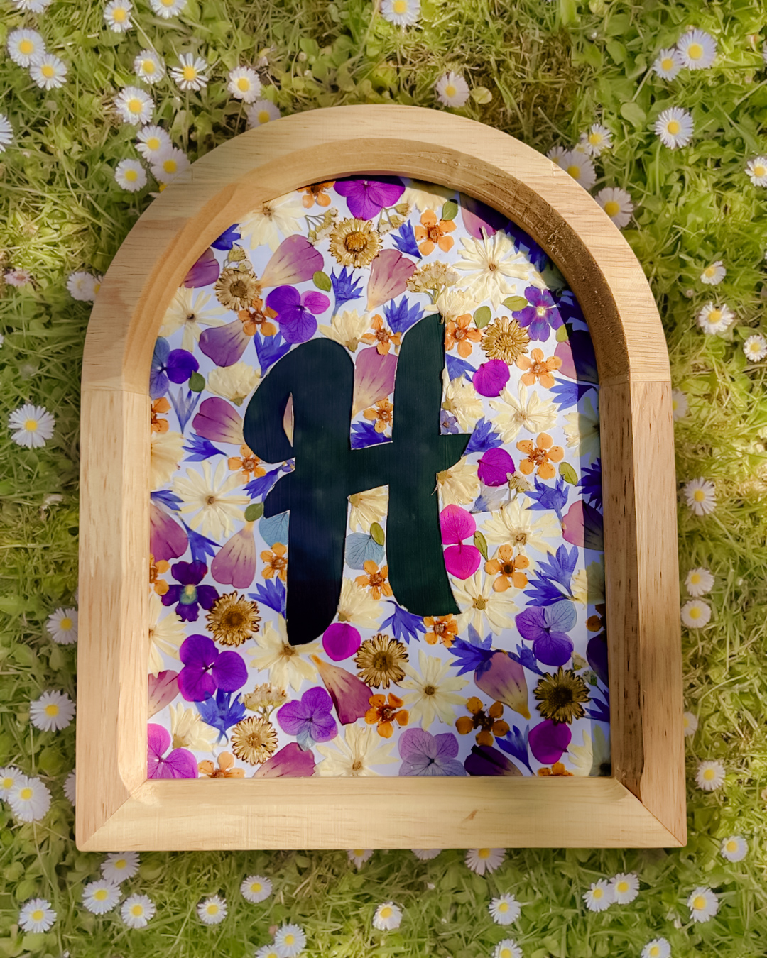 images SO - graine de souvenir