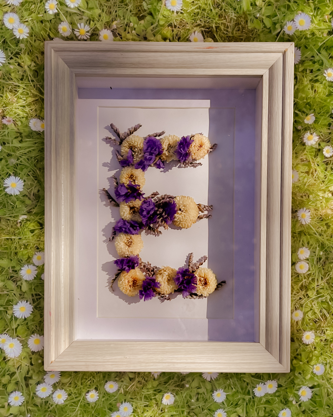 images SO - pétales de toujours