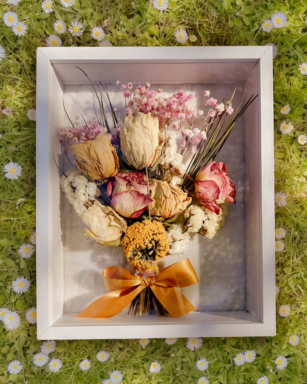 images SO - printemps d'irisay