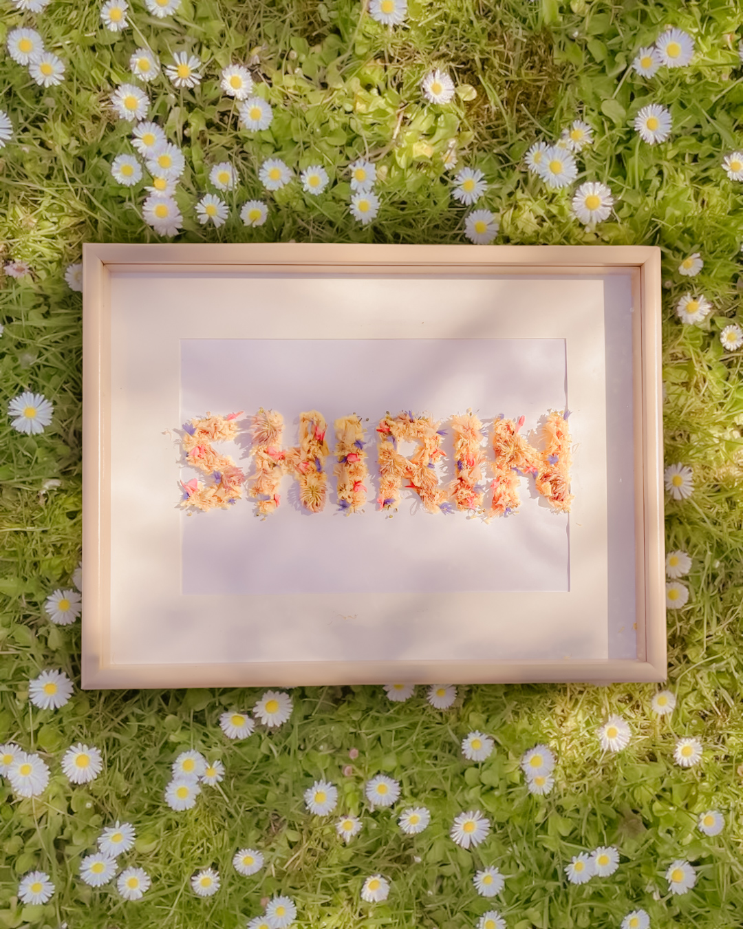 images SO - shirin blossom