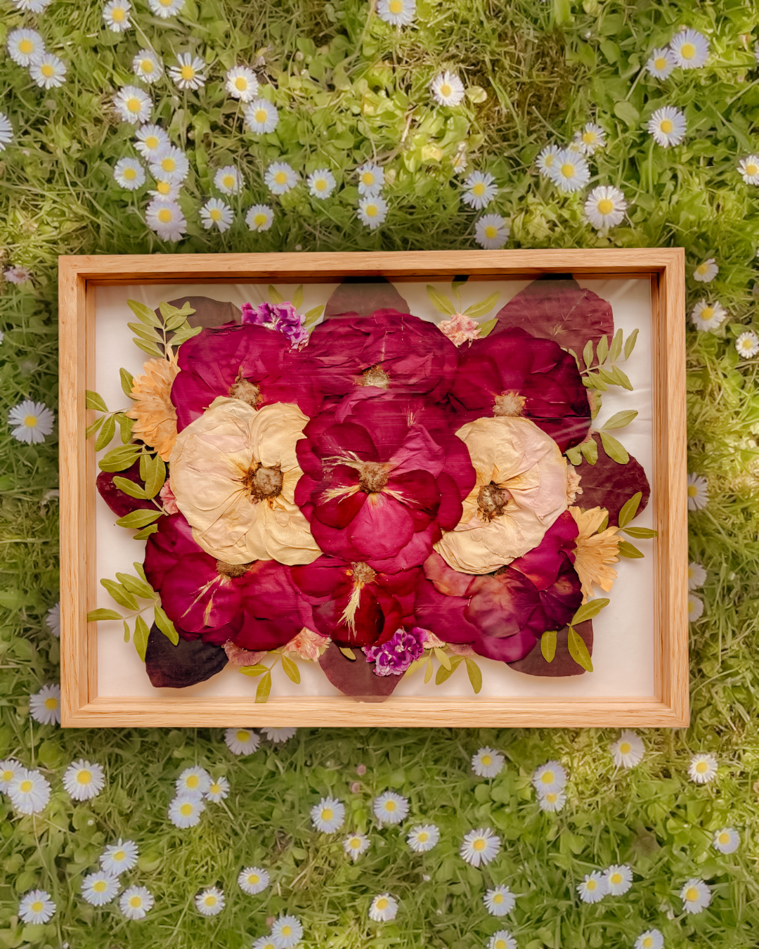 images SO - sogindim 1