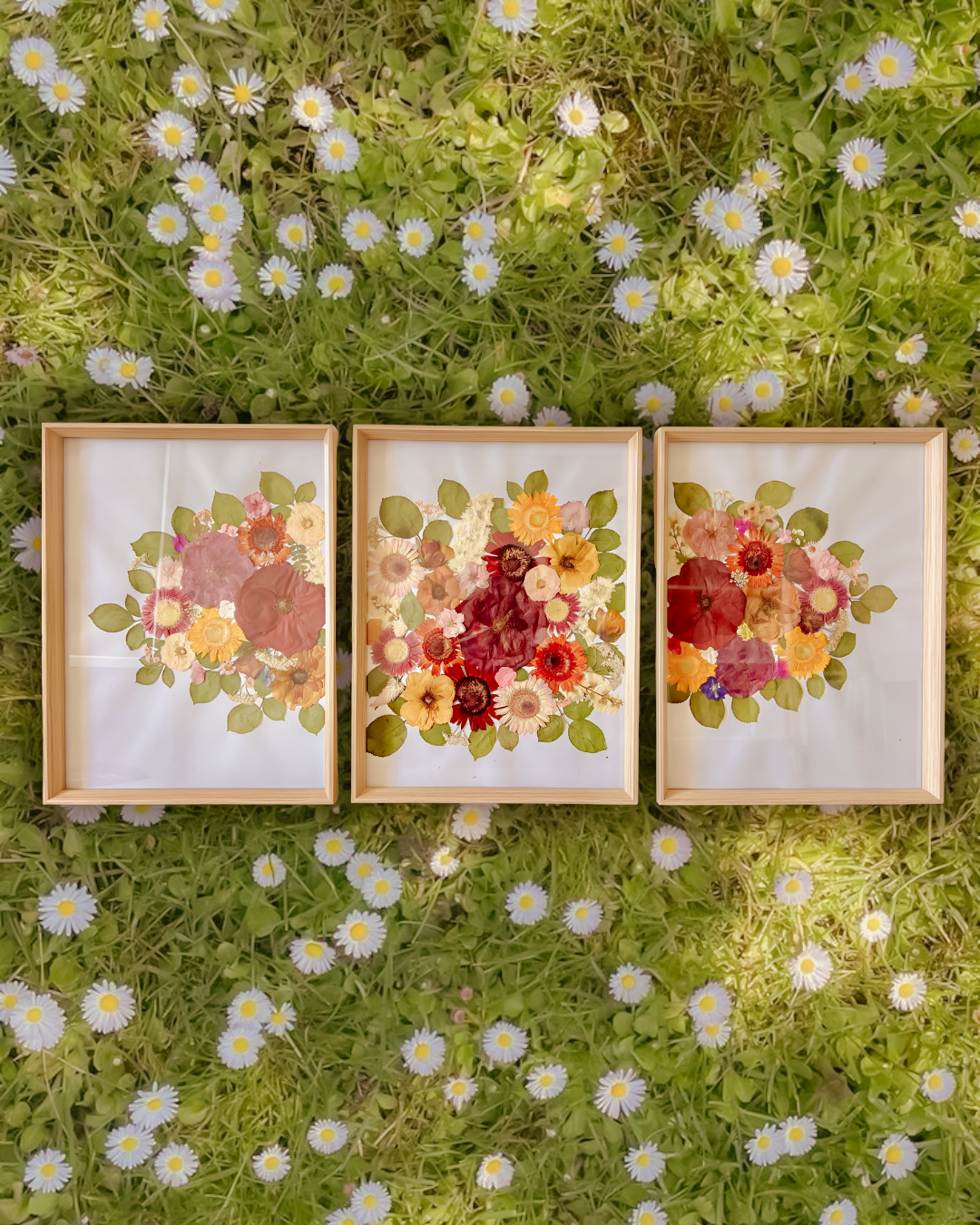 images SO - songe d'épine (2)